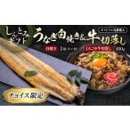 うなぎ 〈しんとみ 〉うなぎ白焼き&こゆ牛切落し オリジナル化粧箱入 セット