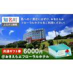 イベントやチケット等 共通 券6000円@おきえらぶフローラル…