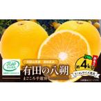 ふるさと納税 みかん・柑橘類 和歌山県 湯浅町 ZE6379n_ 2026年先行予約 有田の八朔 (はっさく) 訳あり 家庭用 4kg (S〜4Lサイズ混合) まごころ手選別