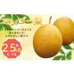 ふるさと納税 梨 熊本県 人吉市 2025年10月下旬より12月下旬迄順次発送予定 王秋梨 ( マンゴー梨 ) 約2.5kg ( 4-7玉 ) 梨 フルーツ