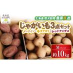 野菜類 じゃがいも メークイン キタアカリ