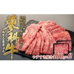 ふるさと納税 長野県 立科町 蓼科牛ウデすき焼き400g×2