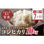 玄米 定期便7ヶ月 令和8年産米 ホタルの里米