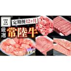 牛肉 セット 定期便 厳選 常陸牛 12ヶ月セット