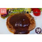 ふるさと納税 肉 ハンバーグ 岩手県 花巻市 みんな大好き ハンバーグ 10個セット (ビーフ・ポーク) 1223