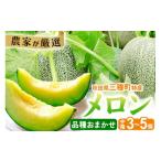 ふるさと納税 メロン メロン青肉 秋田県 三種町 三種町特産 品種お任せ メロン 詰合せ 中箱 3〜5個