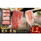 豚肉 ハンバーグ 鹿児島黒牛 黒豚しゃぶしゃぶセット