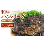 ふるさと納税 牛肉 ハンバーグ 福岡県 久留米市 和牛ハンバーグ（和風ソース付き）180g×4個_和牛 ハンバーグ 180g × 4個 ソース付き 国産 和牛100% 国産牛 …