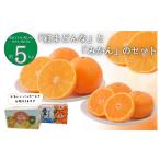 ふるさと納税 果物類 みかん 愛媛県 今治市 「紅まどんな」と「みかん」のセット　 KB02550