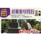 イベントやチケット等 お墓参り代行サービス