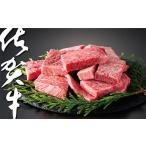 牛肉 焼肉 バーベキュー 佐賀牛はしっこちゃん1000:B275-007