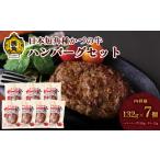 牛肉 ハンバーグ かづの牛 ハンバーグセット