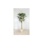 花 苗木 ショウナンゴム 造花 Go-505