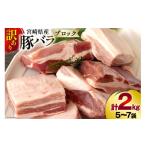 ふるさと納税 宮崎県 美郷町 【訳あり】 豚肉 豚バラ ブロック 2kg 不揃い 5〜7袋 冷凍 宮崎県産 不揃い 煮込み 角煮 チャーシュー 丼 ポッサム 蒸し 揚げ 料…