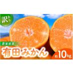 ふるさと納税 果物類 みかん 和歌山県 すさみ町 先行予約 和歌山県産 有田みかん 約10kg 2025年11月中旬より順次発送予定 訳あり ご家庭用 サイズ混合 (お届…