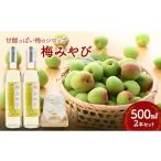 たれ ドレッシング 酢 果実酢 梅みやび 梅シロップ 500ml×2…