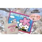 ӂ邳Ɣ[ G݁Epi {錧 ͌ ͌όPRLN^[u[vObYBZbg