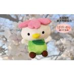 ӂ邳Ɣ[ G݁Epi ʂ {錧 ͌ ͌όPRLN^[u[vʂ20cm