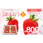 ふるさと納税 いちご 福岡県 古賀市 先行予約 あまおう 合計約800g 約400g×2パック(1パックあたり、9玉〜18玉) 福岡県産 九州 イチゴ いちご 苺 果物 くだ…
