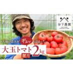 fu.... налог овощи вид помидор Gifu префектура внизу . город предварительный заказ прием 2026 год 7 месяц сверху . примерно из последовательный отправка время ограничено иметь машина JAS засвидетельствование земля изначальный внизу . город. популярный человек большой земля. .....-.........