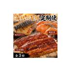 の魚の幸定期便 塩サバ うなぎ蒲焼 鮭切身