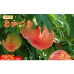 ふるさと納税 もも 福島県 福島市 No.2155福島のもも 家庭用あかつき 約5kg 2026年発送 先行予約