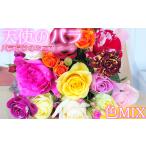 花 苗木 花束 天使のバラ 薔薇だけのミニ丈ブーケ