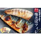 干物 サバ 塩さばフィレ 14枚入