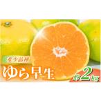 ふるさと納税 果物類 みかん 和歌山県 すさみ町 先行予約 \数量限定/ \農家直送/甘くて濃厚 希少品種 ご家庭用 ゆら早生みかん 約2kg サイズ混合 2025…