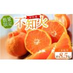 紀州有田産 不知火 しらぬひ 約8.5kg