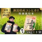 ふるさと納税 米 コシ