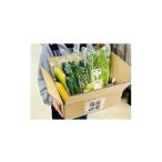 fu.... налог комплект *... Kyoto (столичный округ) Kumiyamacho сезон. Kyoto (столичный округ) .. гора овощи ...1097548