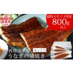 ふるさと納税 うなぎ 愛知県 西尾市 通常発送 国産 うなぎ 三河産「超特大蒲焼き4尾」(合計800〜820g)うなぎ 国産 本格 鰻 蒲焼 愛知県 西尾市 愛知養魚 惣…