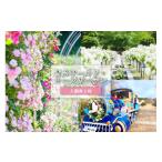 fu.... налог входной билет * пригласительный билет Gifu префектура возможно . город .. world * rose сад входить . талон 2 листов Gifu префектура возможно . город мир максимальный класс роза . билет комплект немофила ......