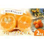 みかん 柑橘類 フルーツきんかん 2kg