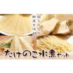 野菜類 たけのこ水煮セット トライカット