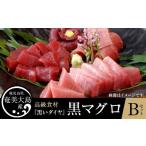 マグロ クロマグロ 奄美大島産高級食材 黒いダイヤ