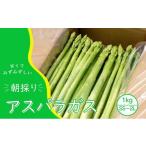 fu.... налог овощи вид спаржа префектура Fukuoka город Ogoori предшествующий предварительный заказ отправка 2026 год 4 месяц спаржа Ogoori производство утро .. спаржа 1kg (SS,S,M,L,2L размер .) овощи ....