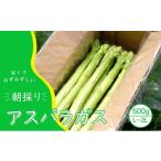 fu.... налог овощи вид спаржа префектура Fukuoka город Ogoori предшествующий предварительный заказ отправка 2026 год 4 месяц спаржа Ogoori производство утро .. спаржа 500g (L,2L размер .) овощи . выгода сельское хозяйство .