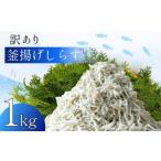 ふるさと納税 魚貝類 しらす 静岡県 沼津市 訳あり 釜揚げ しらす 1kg 冷凍 小分け しらす パック 500g 2パック しらす 駿河湾 の恵み シラス サイズ不揃い