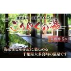 温泉 サウナ スパ利用券 W03022 滝見苑けんこう村ごりやく…