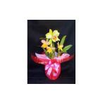 花 苗木 カトレア 寄植え