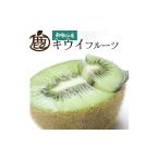 厳選 キウイ2.5kg+250g 傷み補償分