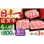 牛肉 ロース 全6回定期便 4人向け 佐賀牛