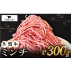 牛肉 ハンバーグ 2度の農林水産大臣賞 佐賀牛