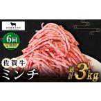 牛肉 ハンバーグ 全6回定期便 佐賀牛 ミンチ 500g