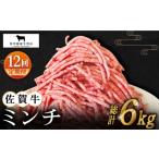 牛肉 ハンバーグ 全12回定期便 佐賀牛 ミンチ 500g