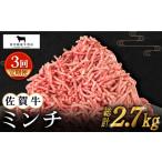 牛肉 ハンバーグ 全3回定期便 佐賀牛 ミンチ 900g