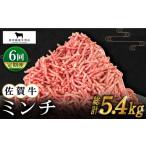 牛肉 ハンバーグ 全6回定期便 佐賀牛 ミンチ 900g
