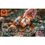 炭酸飲料 発酵ジンジャーエール 3種×2本
